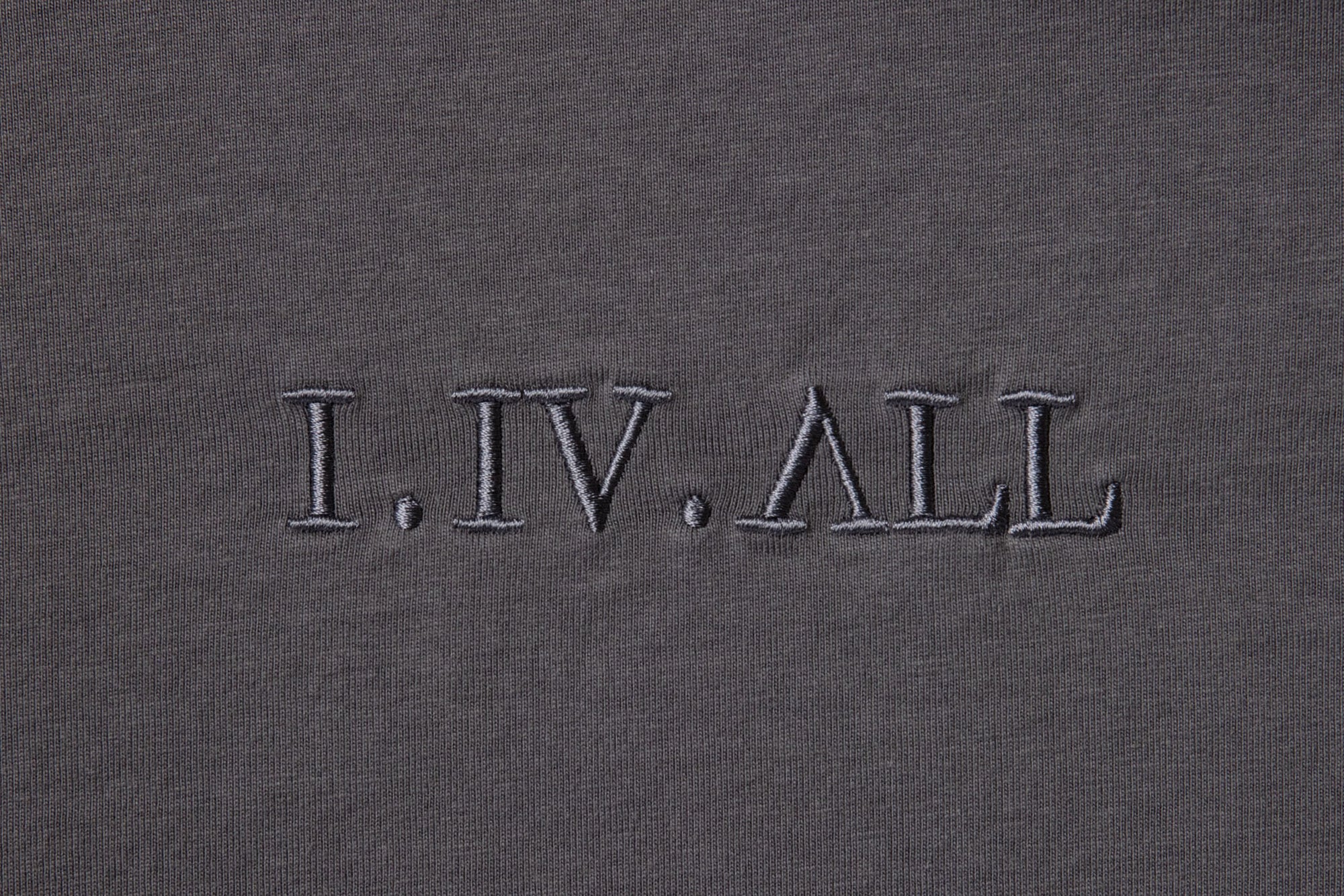 Heavy Dropped Shoulder Tee (Shadow)