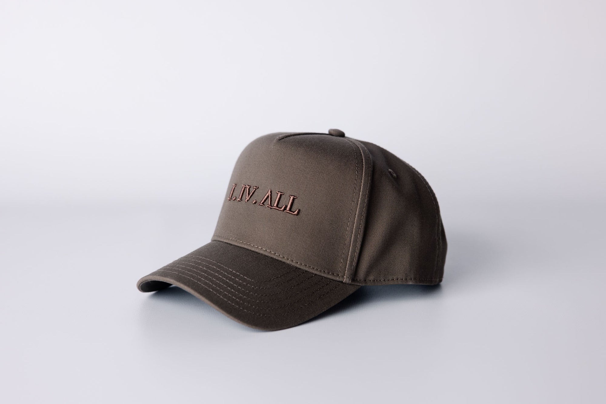 Everyman 1.4.ALL Snapback Hat (Walnut)