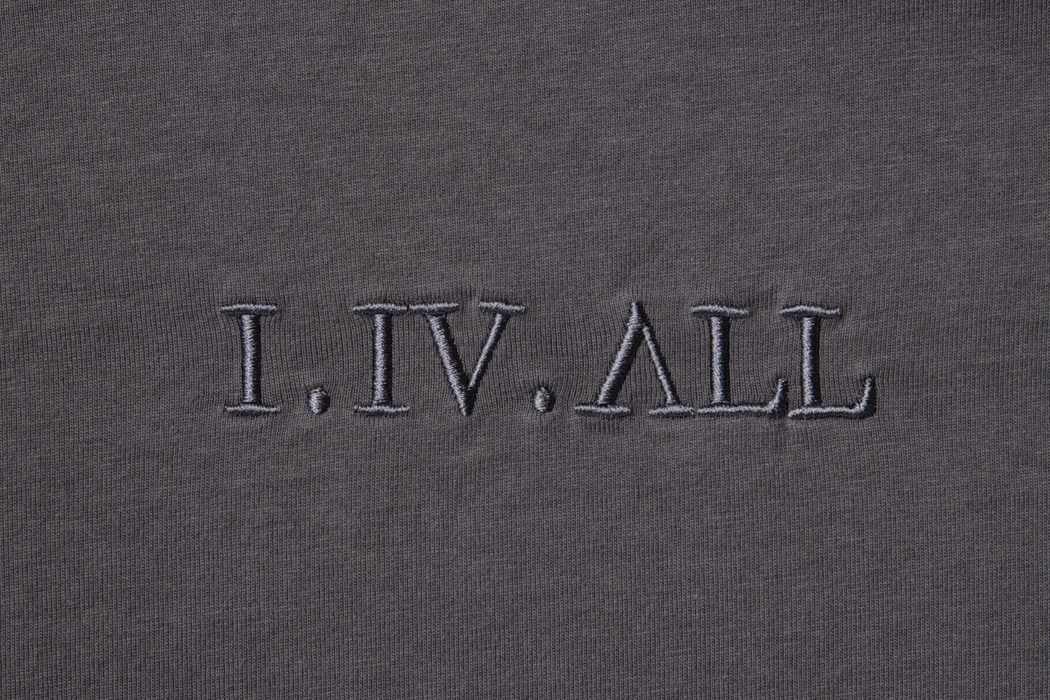 Heavy Dropped Shoulder Tee (Shadow)